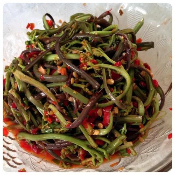 五月份蔬菜有哪些是当季