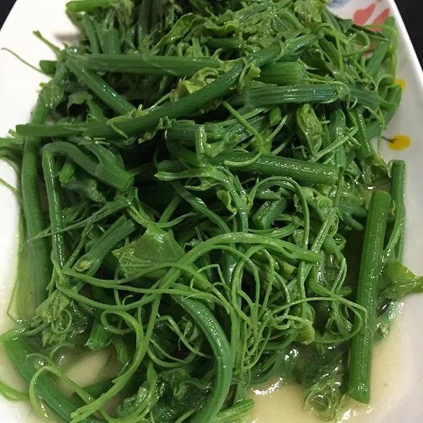 五月份蔬菜有哪些是当季