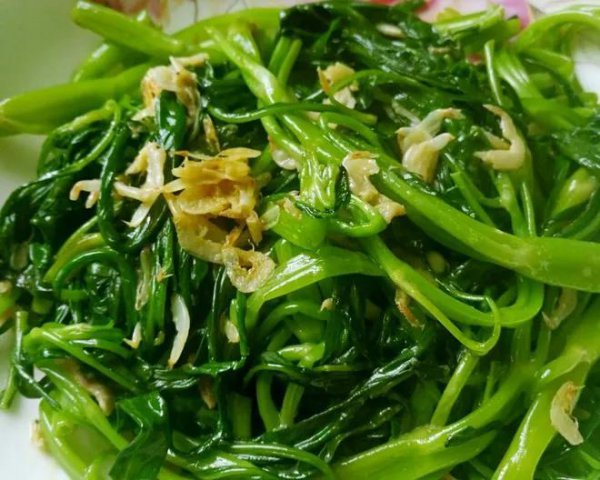 五月份蔬菜有哪些是当季