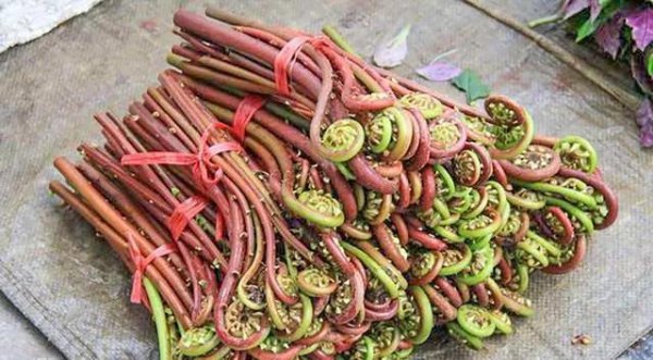 五月份蔬菜有哪些是当季