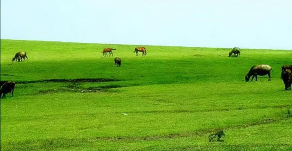 龙里县属于哪个市管辖