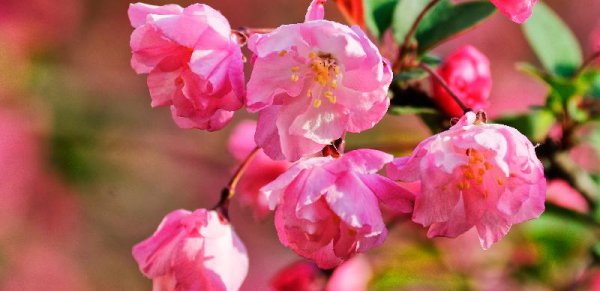 怎样让白羊男越来越离不开你