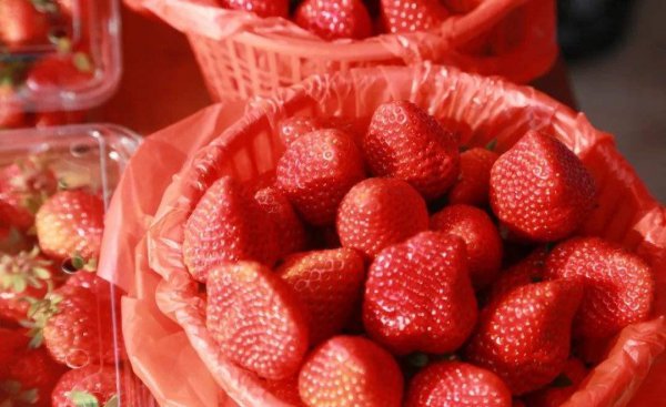 十大低糖水果排名