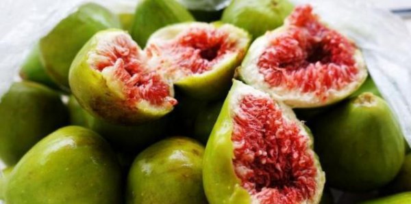 无花果不结果怎么回事