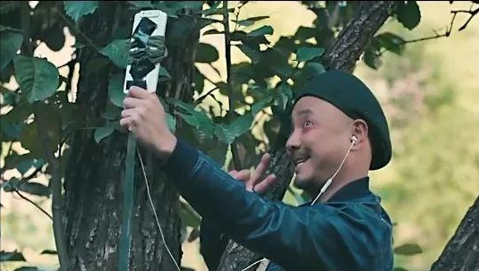 苹果手机4g网速慢怎么调设置