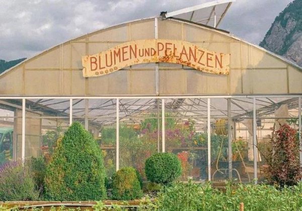 易经中最厉害的五句话