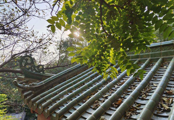 蔡司镜头和莱卡哪个好