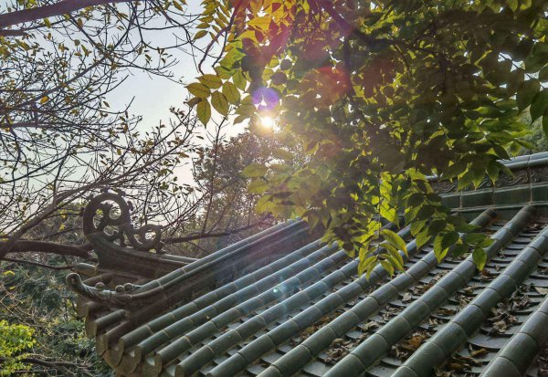 蔡司镜头和莱卡哪个好