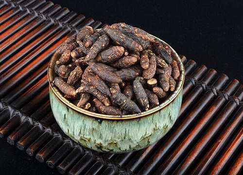 附子可以泡水喝吗