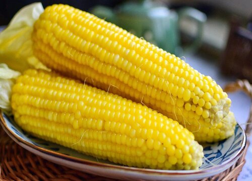 鲜玉米可以直接冷冻保存吗