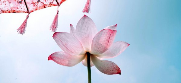 周邦彦最有名的诗词