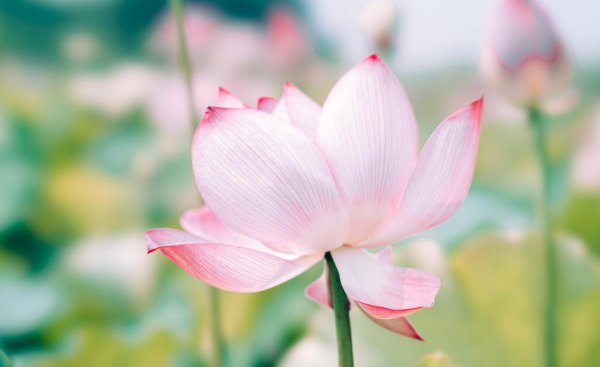 周邦彦最有名的诗词