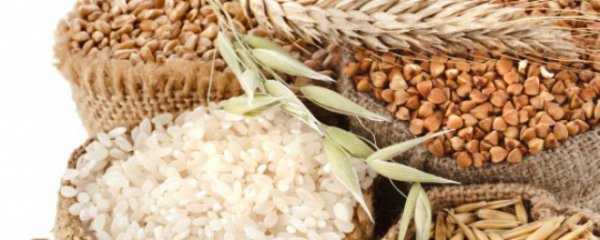 为什么粮食容易产生谷虫