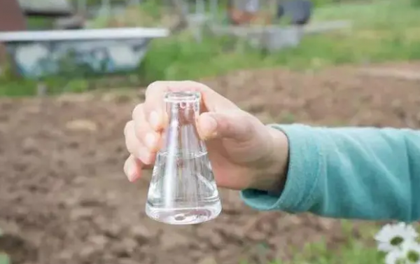 磷酸二氢钾可以灌根吗