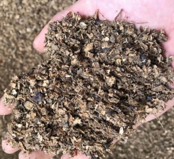 花生壳怎么发酵做营养土用来种花