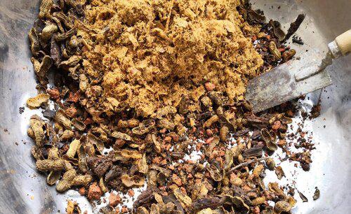 花生壳怎么发酵做营养土用来种花