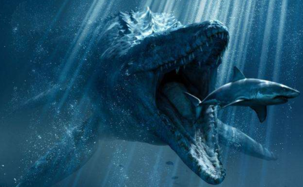 沧龙有多大体型