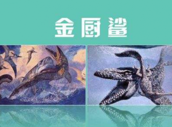 沧龙有多大体型