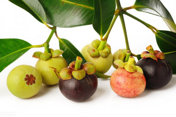 山竹中间有黄的是不是坏的