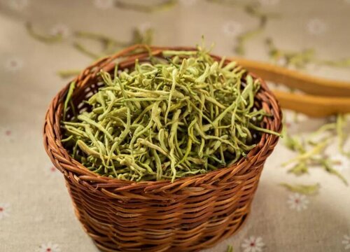 金银花什么时候采摘药效最好