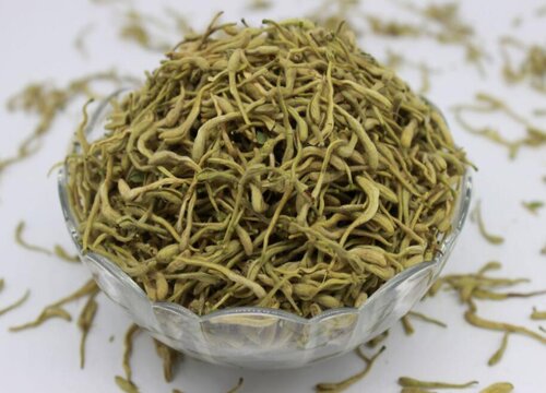 金银花什么时候采摘药效最好