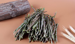 盆景石斛种植方法 石斛盆栽的种植方法