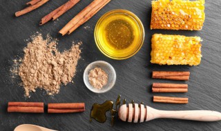 中蜂养殖新手注意什么 中蜂养殖的方法