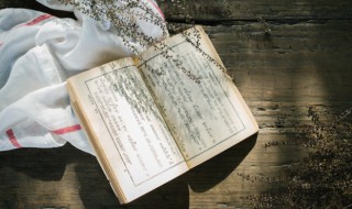 雨果是哪个国家的著名作家 雨果相关介绍