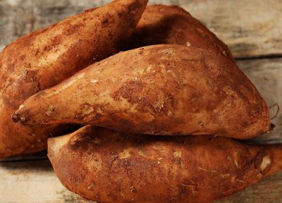 雪莲果种植时间和技术方法 怎么繁殖和栽培管理亩产高