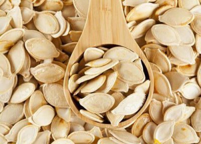 南瓜种子怎么种? 南瓜种子怎么种植方法