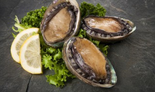 鲍鱼个吃怎么做最好 鲍鱼怎么吃才好吃