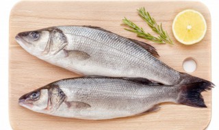 清蒸用什么鱼 什么鱼适合清蒸