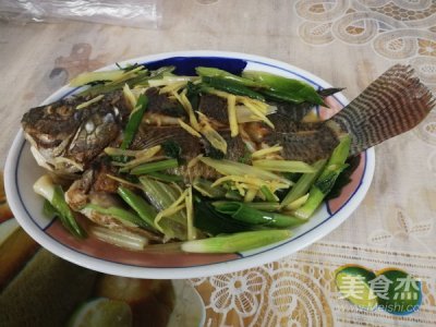 广东人为何不吃福寿鱼因为它很脏吗 福寿鱼怎么吃最好吃