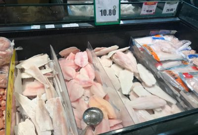 龙利鱼是海里的鱼吗 如何准确分辨龙利鱼和巴沙鱼