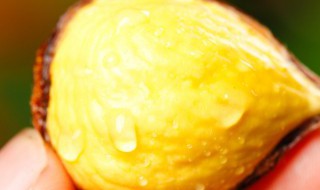 栗子保鲜有什么办法 栗子如何保存更保鲜