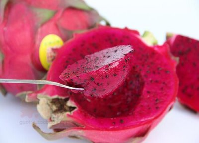 火龙果的储存方法 火龙果的保存方法