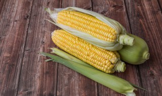 冷库如何蔬菜保鲜 冷库怎样蔬菜保鲜