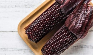 紫玉米需要煮多久才能吃 紫玉米需要煮多长时间才能吃