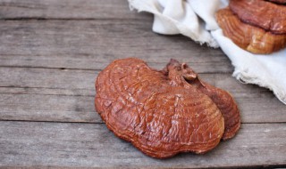 灵芝泡水隔夜能喝吗 灵芝泡水过了一夜还能饮用吗