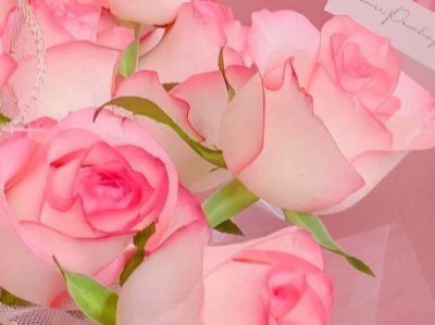 水瓶是什么象星座嘛 远离世俗越活越仙气的星座