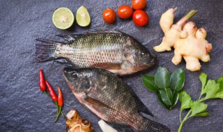 生鱼如何保鲜 活鱼保鲜方法