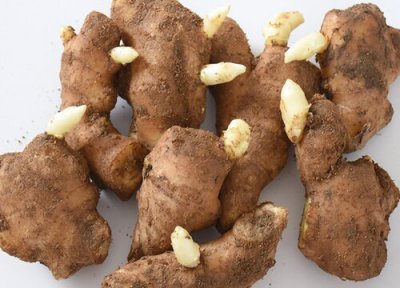 姜黄和生姜区别 姜黄和生姜的区别