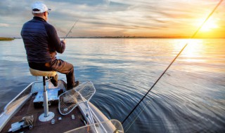 冬钓鲫鱼技巧 冬钓鲫鱼有哪些技巧
