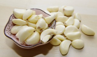 大蒜什么季节种植合适 大蒜种植合适的季节