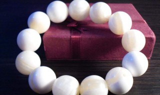 砗磲有什么功效 砗磲的功效简单介绍