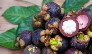 山竹挑选技巧 怎样挑选好山竹