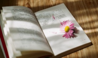 励志文案干净治愈的句子 干净治愈正能量的句子