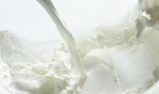 怎样判别牛奶粉好坏 如何分辨牛奶粉的好坏