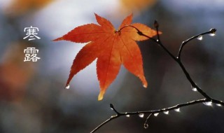 寒露是哪一天 寒露是什么时候