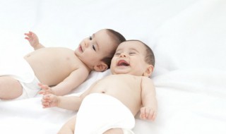 属猪几月出生好命 属猪哪个月出世好